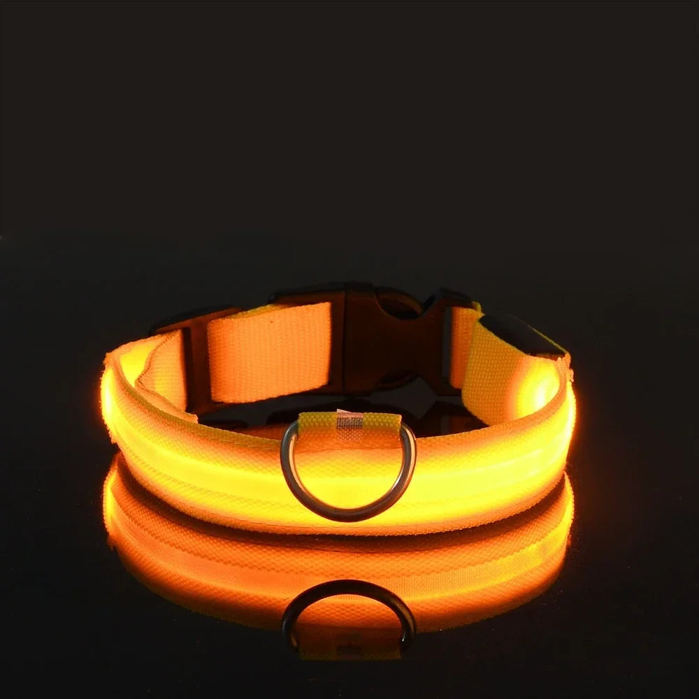 Collier de nuit pour chien en Nylon LED