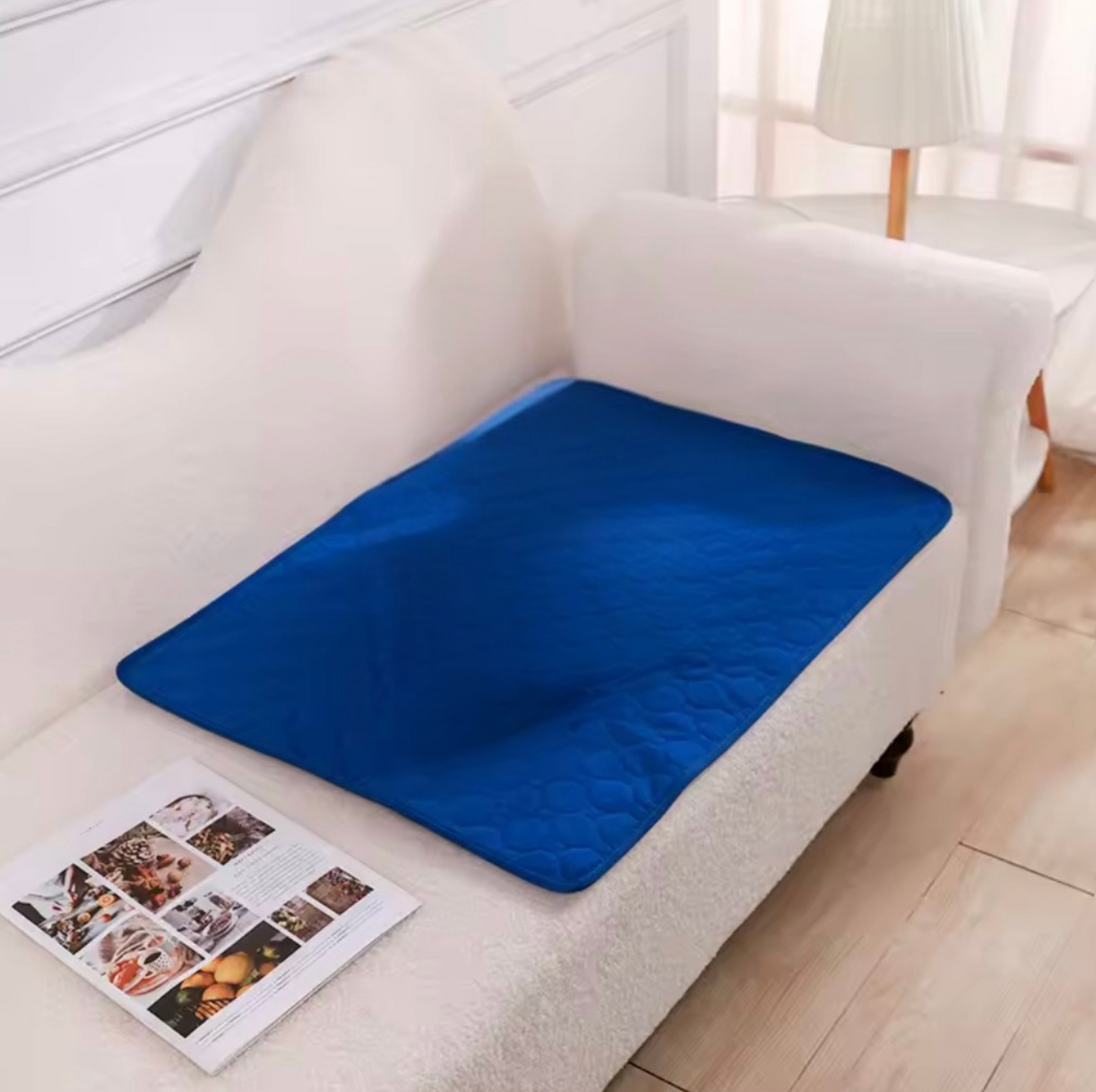 Tapis absorbant réutilisable pour chien – Anti-fuites & multi-surfaces