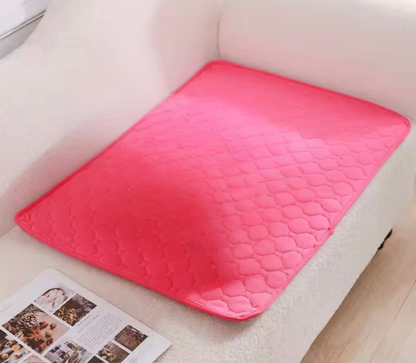 Tapis absorbant réutilisable pour chien – Anti-fuites & multi-surfaces