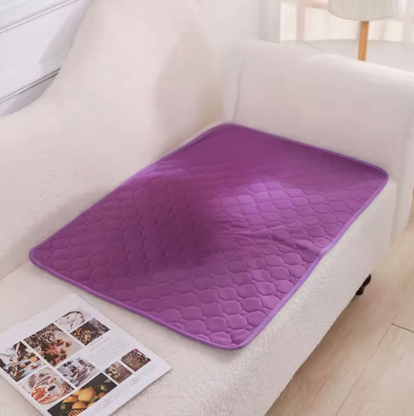 Tapis absorbant réutilisable pour chien – Anti-fuites & multi-surfaces