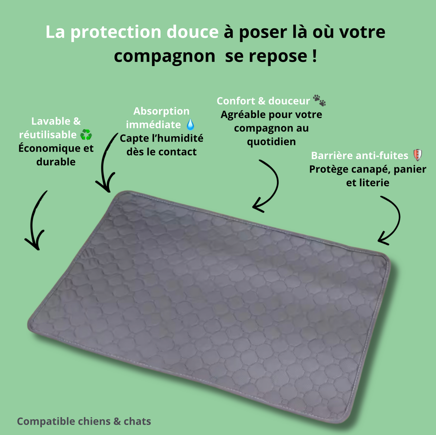 Tapis absorbant réutilisable pour chien – Anti-fuites & multi-surfaces