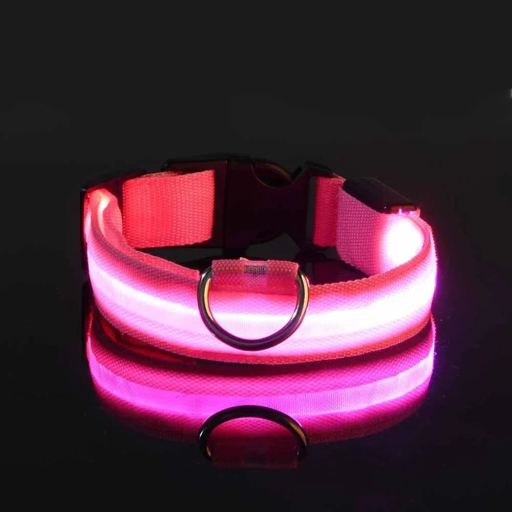Collier de nuit pour chien en Nylon LED