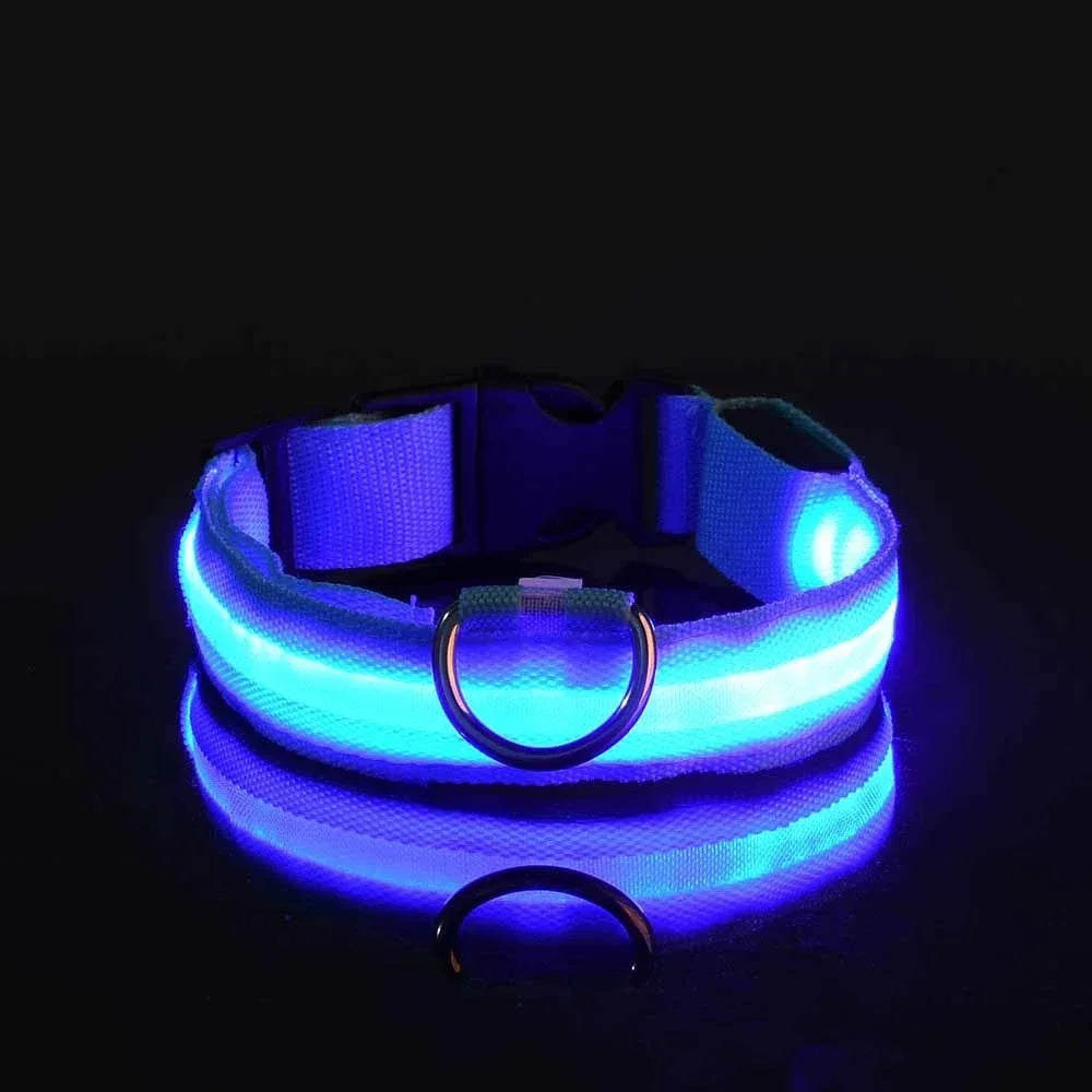 Collier de nuit pour chien en Nylon LED