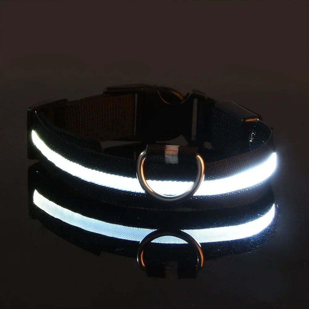 Collier de nuit pour chien en Nylon LED