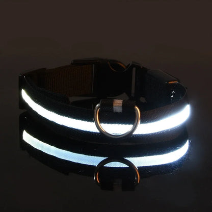 Collier de nuit pour chien en Nylon LED