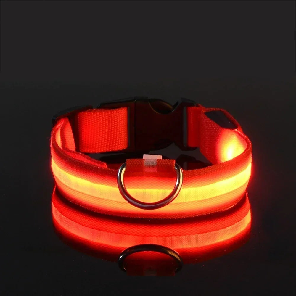 Collier de nuit pour chien en Nylon LED