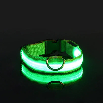 Collier de nuit pour chien en Nylon LED