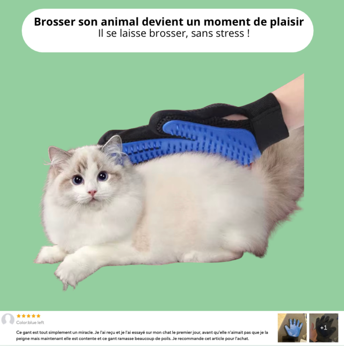 Gant de brossage anti-poils pour chat – brossage doux sans stress