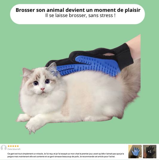 Gant de brossage anti-poils pour chat – brossage doux sans stress